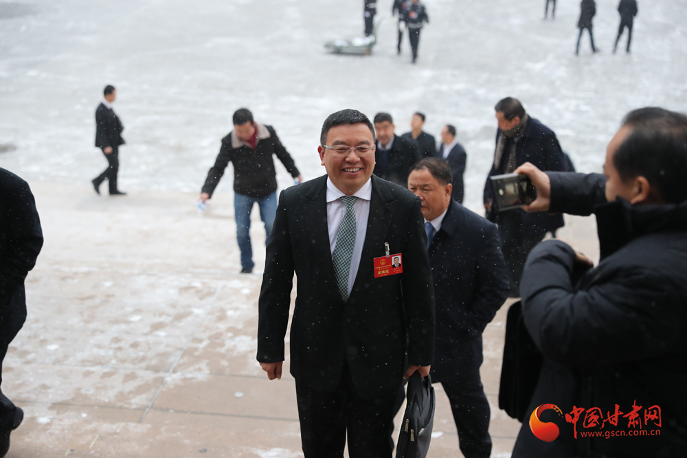 【聚焦2020甘肅兩會】“兩會”代表、委員風采掠影（組圖）