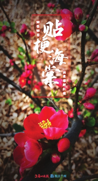 來，跟這些美美的花朵認(rèn)識一下！