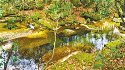 甘肅旅游丨八福溝，西秦嶺深處的水韻秘境
