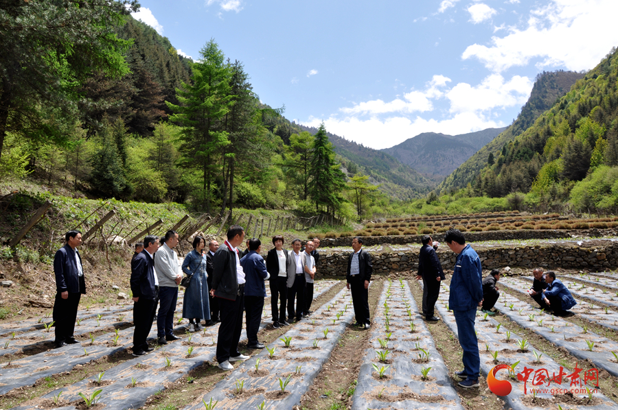 白龍江博峪河保護局開展產業(yè)發(fā)展、義務勞動成果現(xiàn)場觀摩交流活動