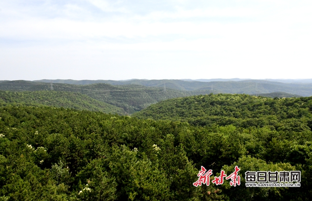 【甘肅生態(tài)環(huán)保媒體行】子午嶺深處，一家三代人用生命守護(hù)黃土高原的“天然生態(tài)屏障”