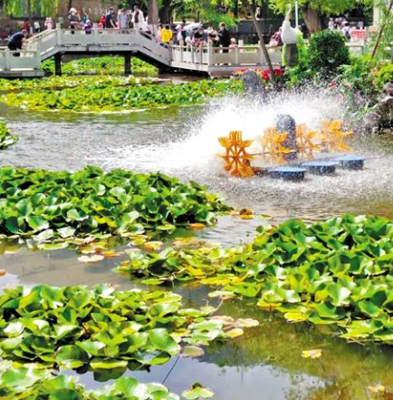 走，到五泉山公園看花展去