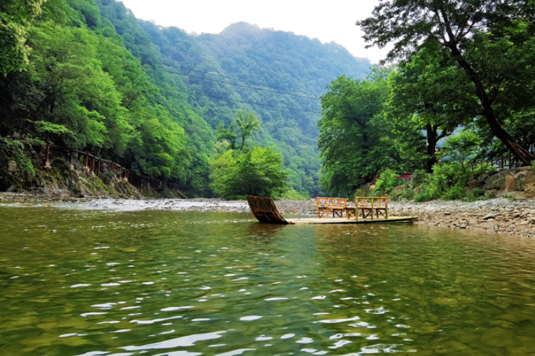 【小隴畫報·95期】康縣：來陽壩，“森”呼吸，我“氧”你