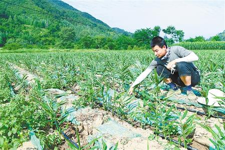 【走向我們的小康生活】安居樂業(yè) 幸?；ㄩ_