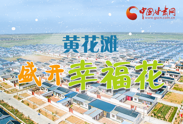 【跟著總書記看甘肅】長圖|武威黃花灘盛開幸?；?