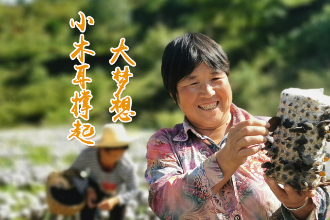 海報丨他們，乘“豐”破浪！