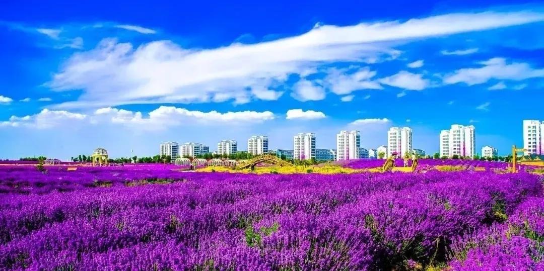 喜訊！金昌蟬聯(lián)全國文明城市