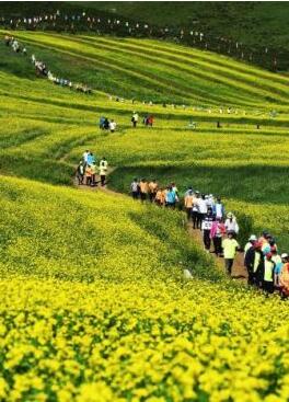 甘肅明確農(nóng)民進城落戶:不以退出承包地、林地等為條件