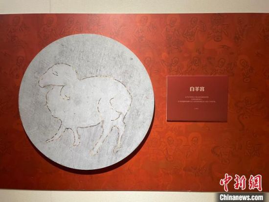 圖為展覽現(xiàn)場(chǎng)?！〗瓧顭?攝