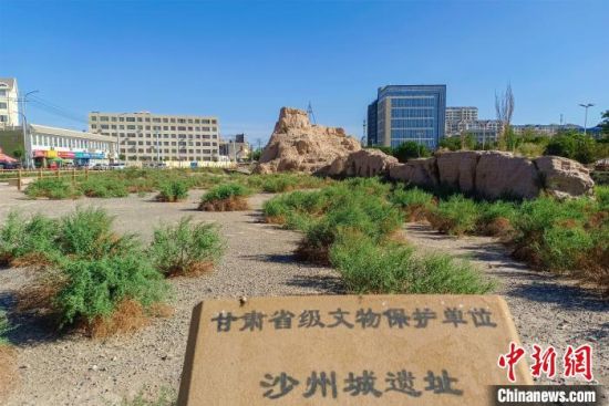 圖為沙州郡城遺址公園古遺址?！⊥醣筱y 攝