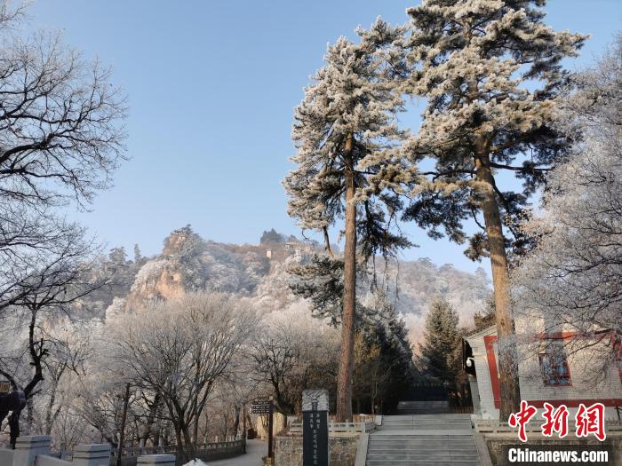 圖為崆峒山霧凇景色美不勝收?！⌒煺袢A 攝