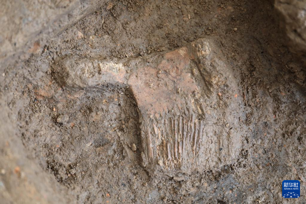 河南南陽市黃山新石器時代遺址出土的屈家?guī)X文化骨梳（資料圖）。
