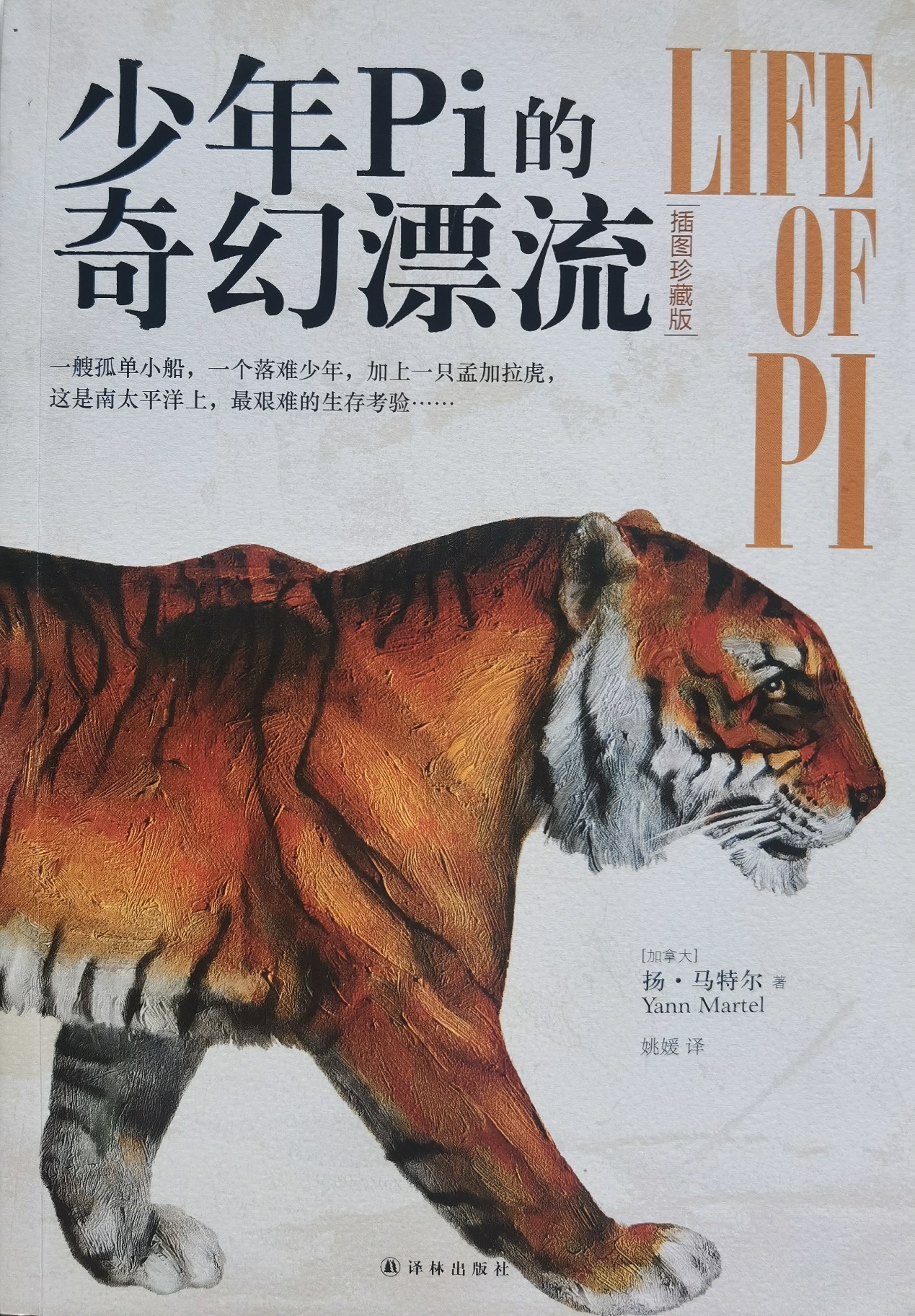 插圖1：揚(yáng)？馬特爾的小說《少年pi的奇幻漂流》封面