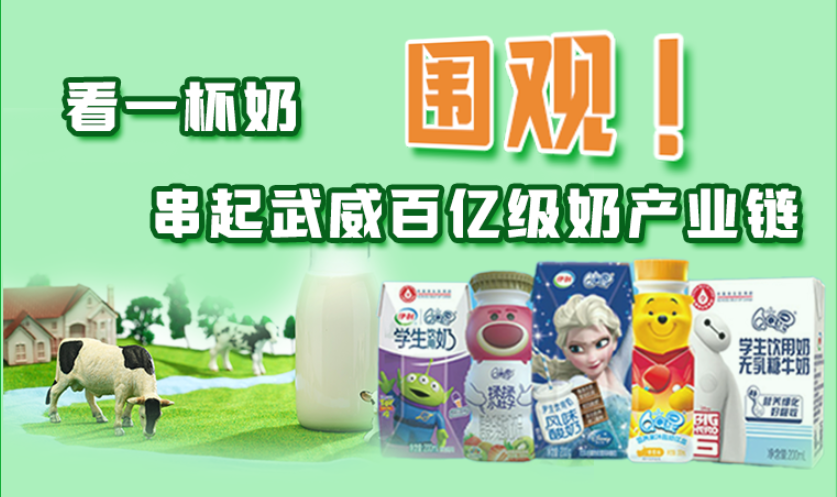 圖解|圍觀！看一杯奶串起武威百億級奶產(chǎn)業(yè)鏈