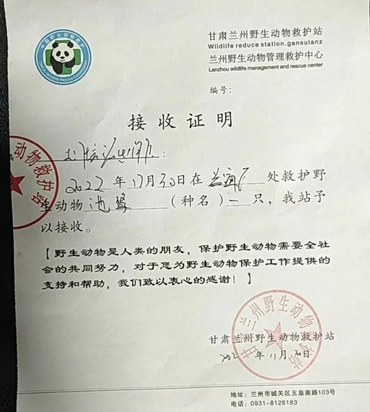 受到救助的池鷺被蘭州野生動物保護站接收。（蘭州市公安局七里河分局供圖）