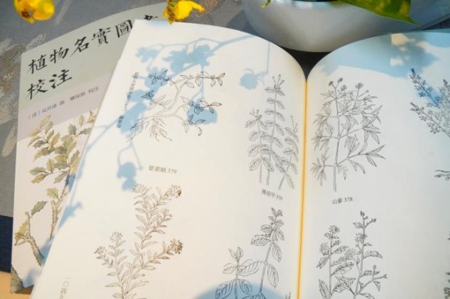 《植物名實圖考校注》內(nèi)頁。圖片來源：中華書局供圖