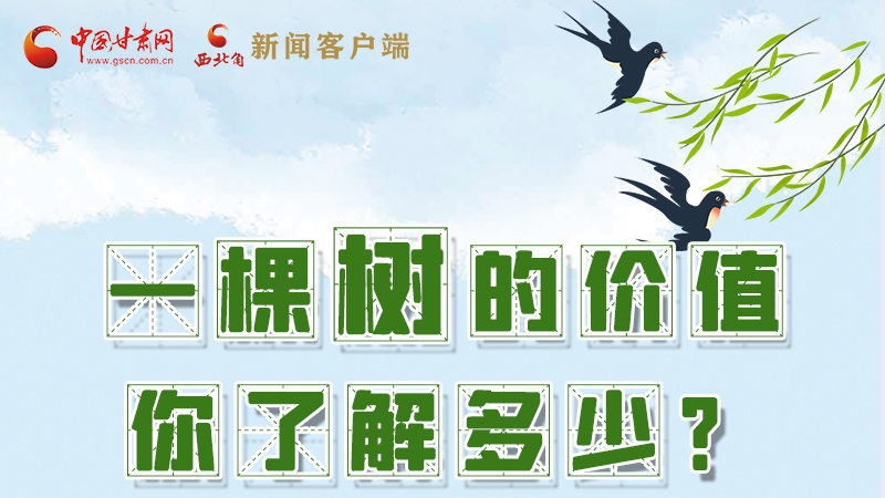圖解|一棵樹的價值你了解多少?來看！