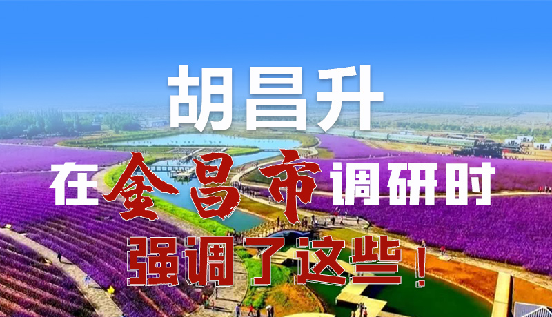 圖解|胡昌升在金昌市調(diào)研時(shí)強(qiáng)調(diào)了這些！