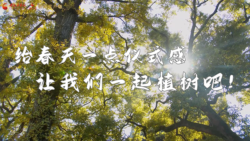 短視頻|給春天一點(diǎn)儀式感，讓我們一起植樹(shù)吧！
