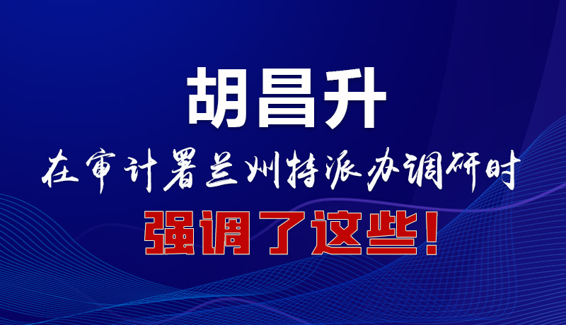 圖解|胡昌升在審計署蘭州特派辦調(diào)研時強調(diào)了這些！