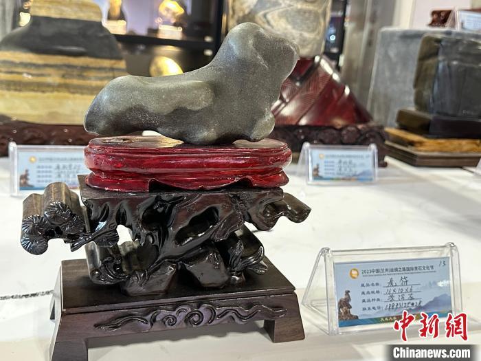 8月3日——7日，2023中國(蘭州)絲綢之路國際賞石文化節(jié)在甘肅國際會(huì)展中心舉行。圖為名為《虎符》的黃河石。楊娜 攝</p><p>