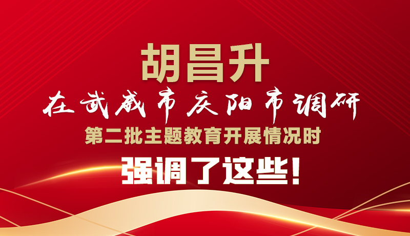 圖解|胡昌升在武威市慶陽市調(diào)研第二批主題教育開展情況時強調(diào)了這些！