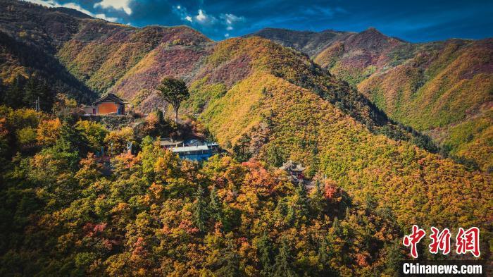 深秋，位于蘭州市榆中縣的興隆山，似打翻調(diào)色板。金峯 攝