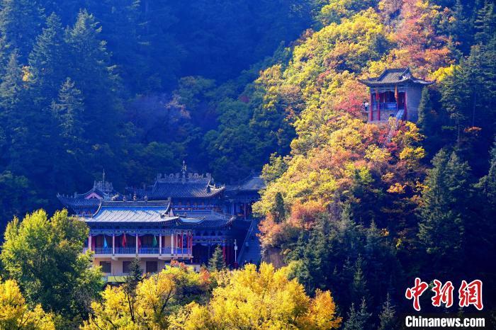 深秋，位于蘭州市榆中縣的興隆山景色如畫。宮衛(wèi)紅 攝