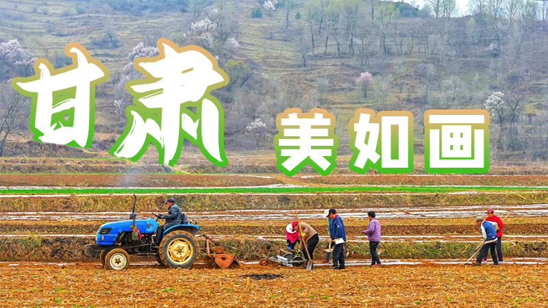 微海報|甘肅，美如畫