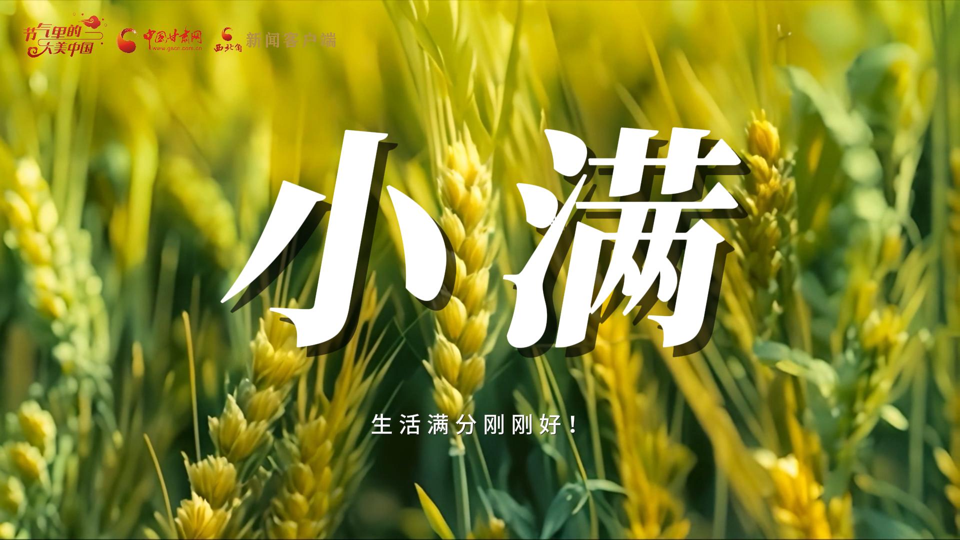 【節(jié)氣里的大美甘肅·小滿】生活滿分剛剛好！