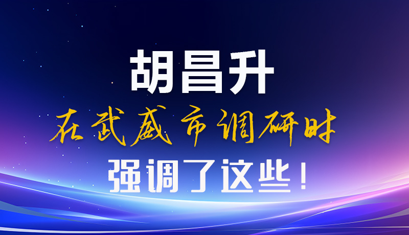 圖解|胡昌升在武威市調(diào)研時強調(diào)了這些！