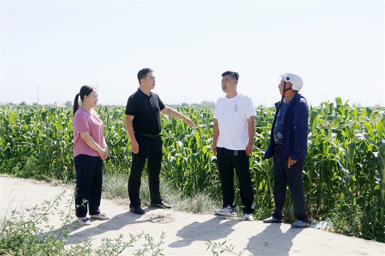 1721642572456010.jpg 臨澤縣沙河鎮(zhèn)紀委工作人員深入田間地頭了解玉米制種生產(chǎn)情況.jpg