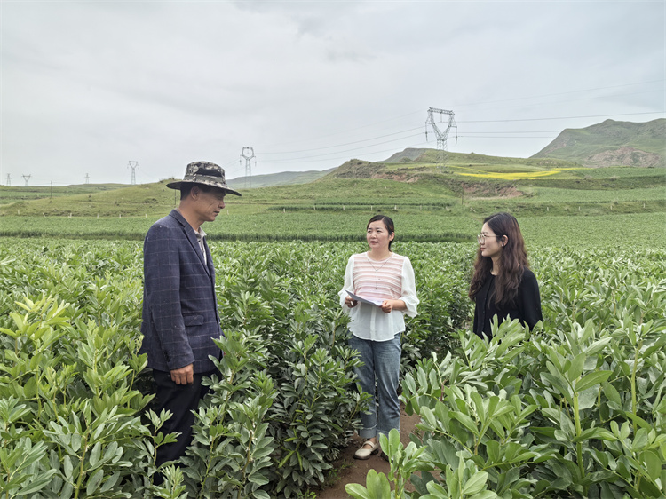 1721898041570263.jpg 圖為古浪縣十八里堡鄉(xiāng)紀(jì)檢監(jiān)察干部在東廟兒溝村大豆種植基地了解產(chǎn)業(yè)獎補政策落實情況.jpg