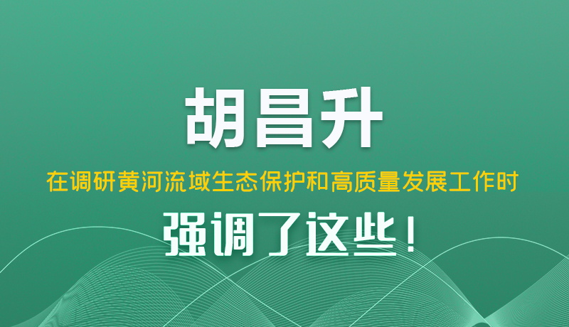 圖解|胡昌升在調(diào)研黃河流域生態(tài)保護(hù)和高質(zhì)量發(fā)展工作時強(qiáng)調(diào)了這些！