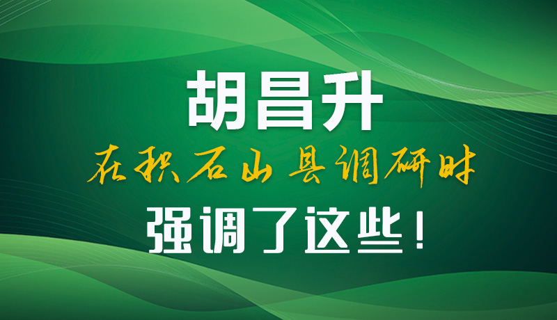 圖解|胡昌升在積石山縣調(diào)研時(shí)強(qiáng)調(diào)了這些！