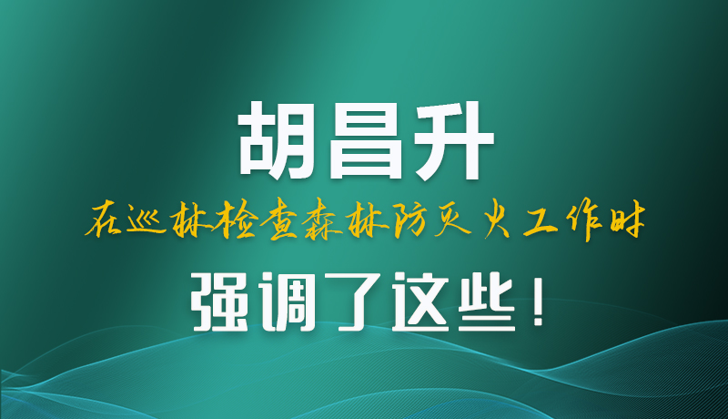圖解|胡昌升在巡林檢查森林防滅火工作時強(qiáng)調(diào)了這些！
