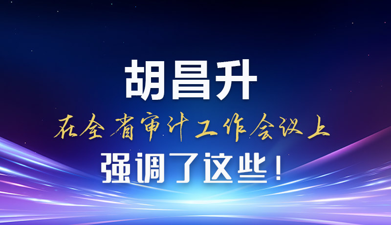 圖解|胡昌升在全省審計工作會議上強調了這些！