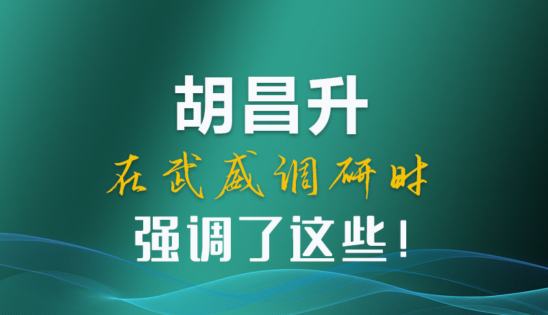 圖解|胡昌升在武威調(diào)研時強調(diào)了這些！
