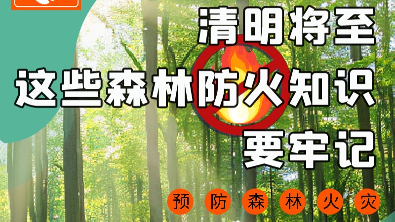【甘快看】圖解|緊繃“安全弦”！清明，這些森林防火知識(shí)要牢記