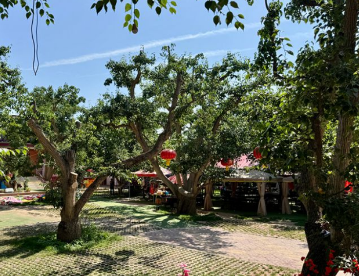 蘭州：文旅賦能鄉(xiāng)村興 盡享詩(shī)與遠(yuǎn)方